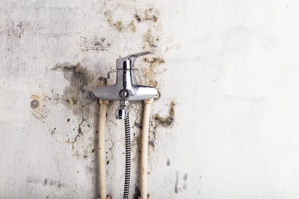 Mold Removal Process in Hurst, TX