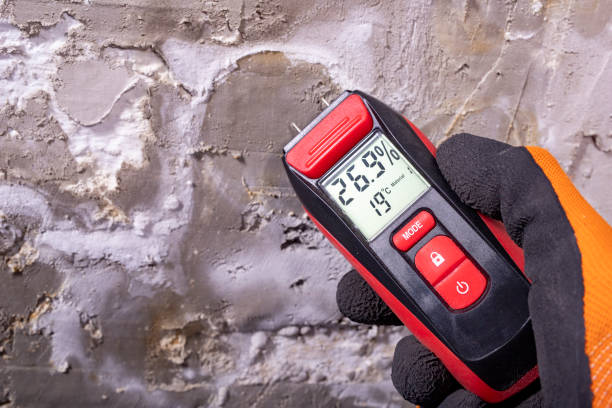 Best Commercial Mold Removal  in Hurst, TX