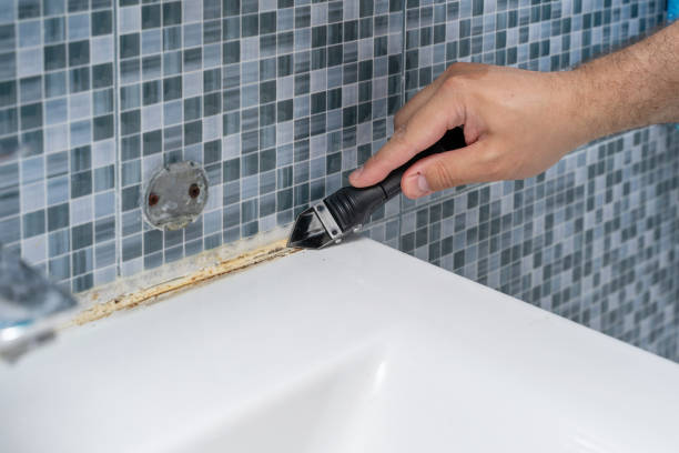 Best Same-Day Mold Removal  in Hurst, TX