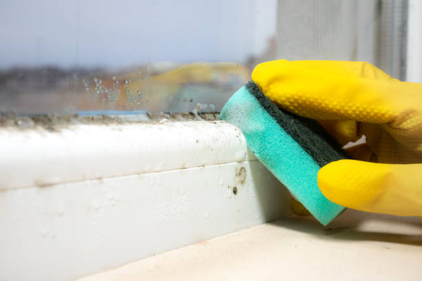 Best Emergency Mold Removal  in Hurst, TX