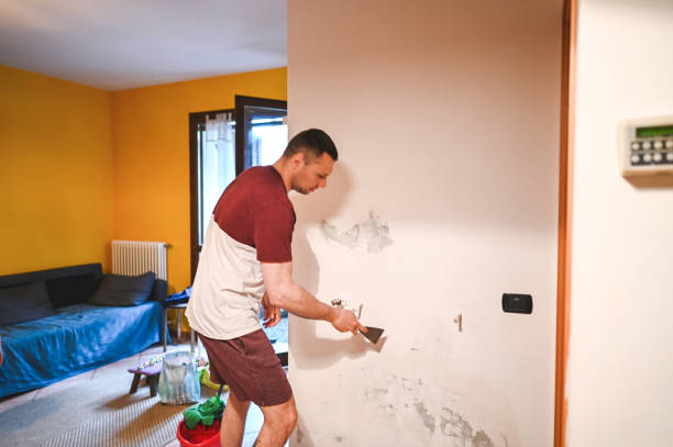 Best Best Mold Removal Companies  in Hurst, TX