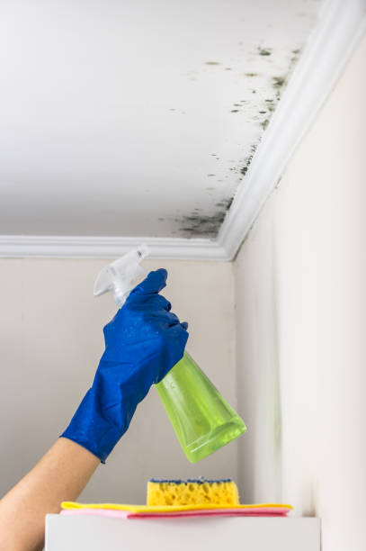 Best Crawl Space Mold Removal  in Hurst, TX