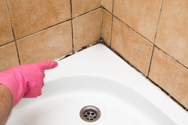 Best Mold Testing  in Hurst, TX